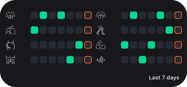 Home Screen widget — the last 7 days for all 8 muscle groups